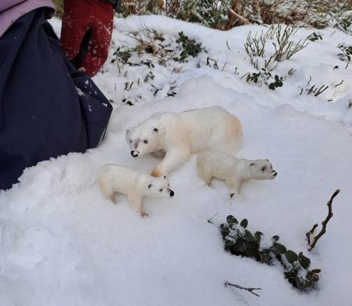Dyrene har fått være med på tur ut i snøen.